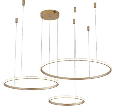 Подвесная люстра Zortes Ringolight ZRS.33325.75F