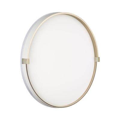 Настенно-потолочный светильник Sonex Pale Olidi White 7646/DLN