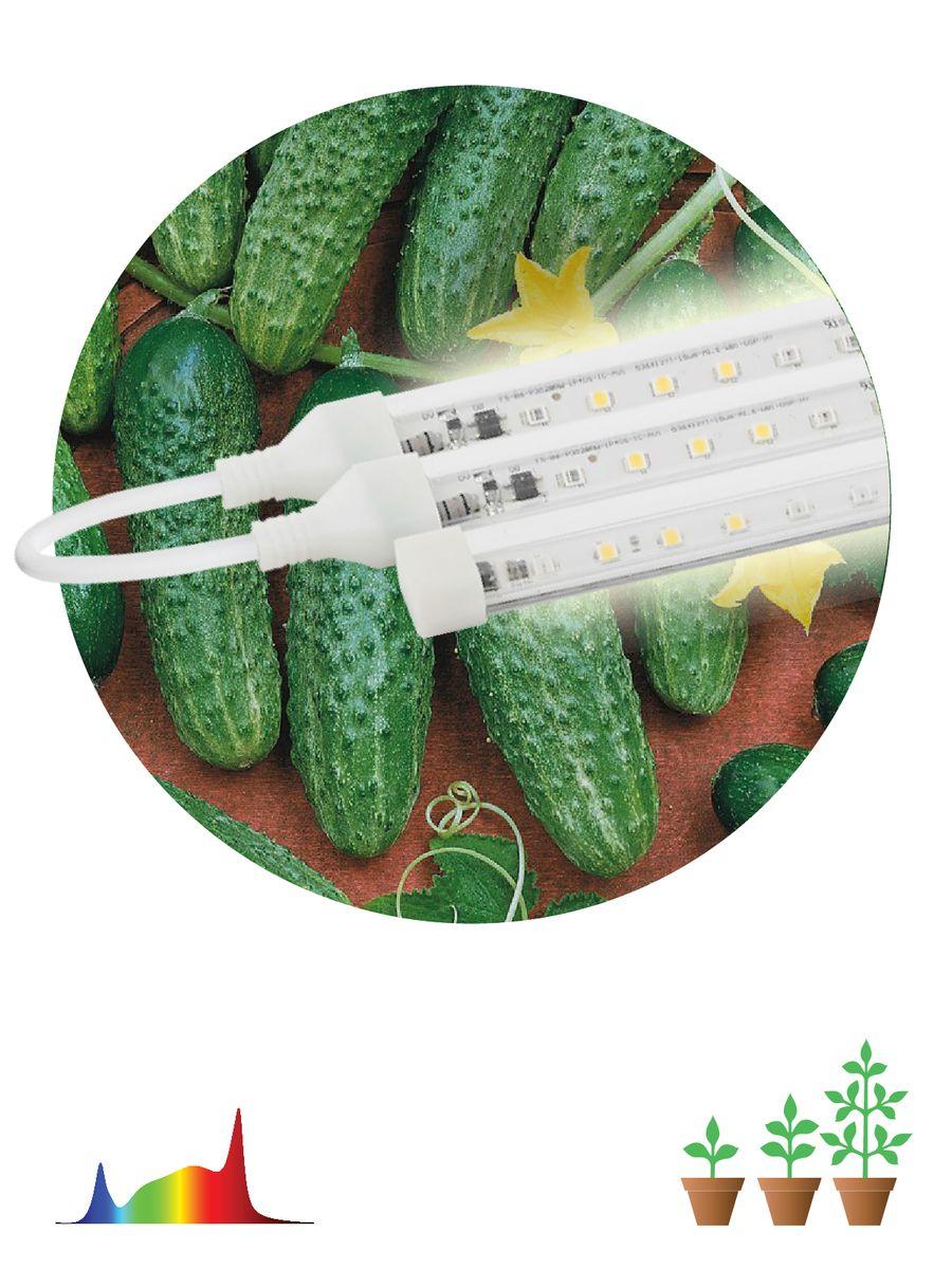 Модульный светодиодный светильник для растений ЭРА Fito-3х10W-Line-Ra90 Б0049315