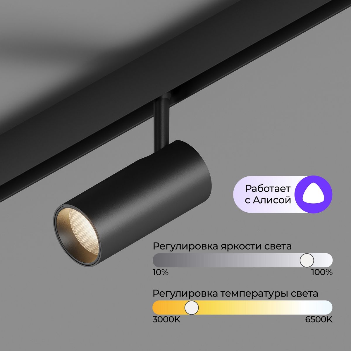 Трековый магнитный светильник Hesby Lighting ElDeko HSBL_0238