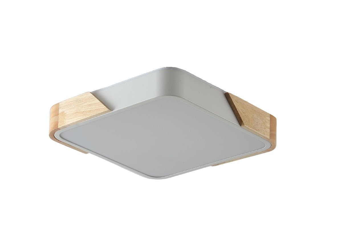 Потолочный светильник Zortes Alberro ZRS.01285.24