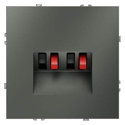 Розетка акустическая Voltum S70 VLS060306