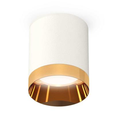 Комплект потолочного светильника Ambrella light Techno Spot XC (C6301, N6134) XS6301024 Комплект потолочного светильника Ambrella light Techno Spot XC (C6301, N6134) XS6301024