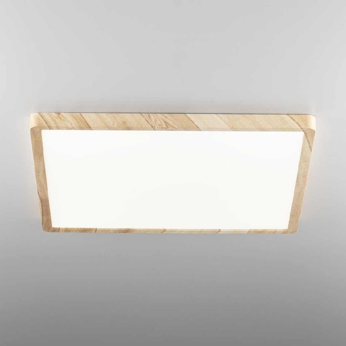 Потолочный светильник Citilux Бейсик CL738K502V