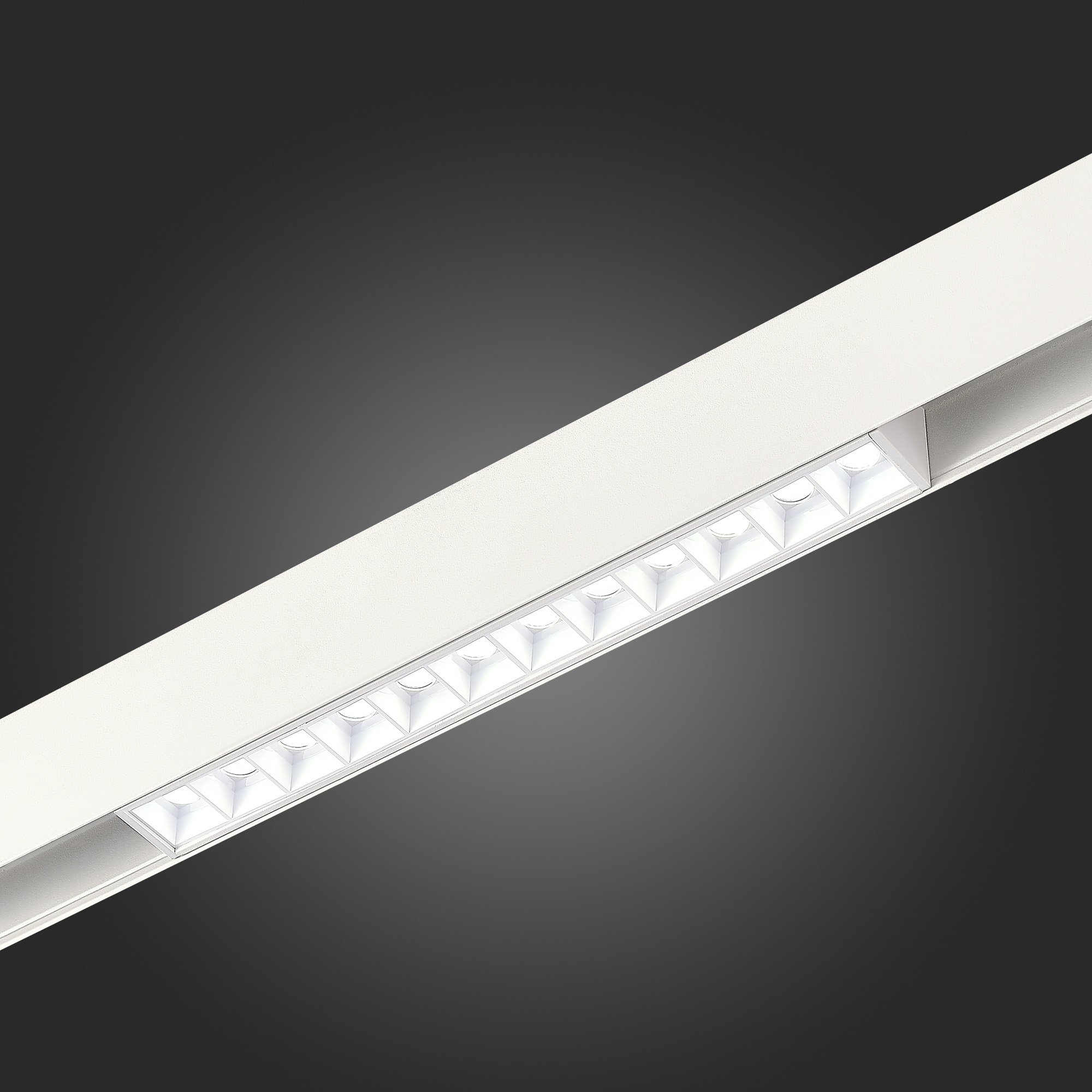 Трековый светильник ST Luce Skyline 48 ST371.506.12