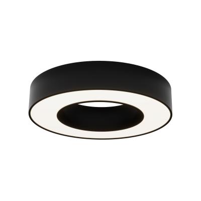 Потолочный светильник Maytoni Lua C093CL-24W4K-B