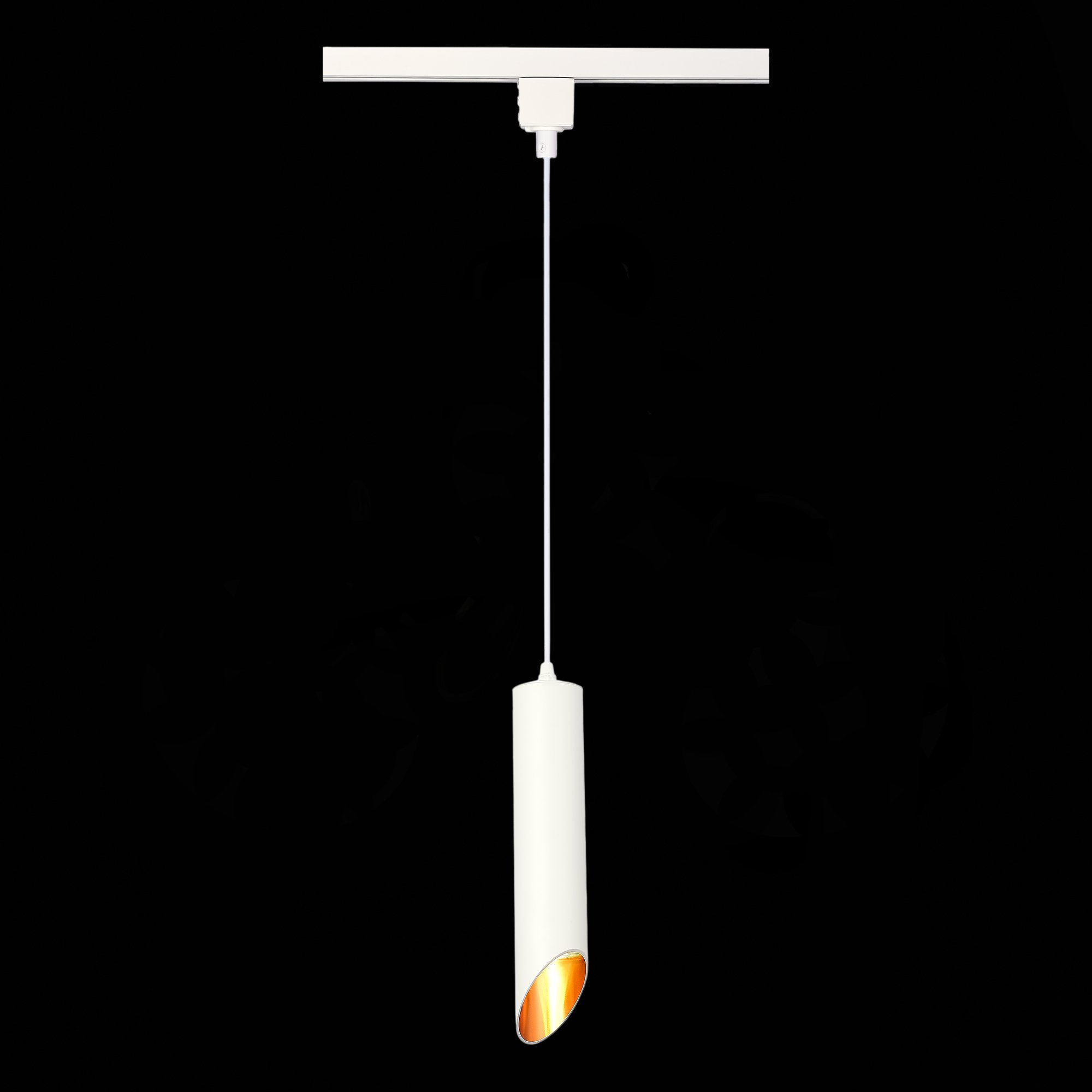 Трековый однофазный светильник ST Luce ST152.506.01