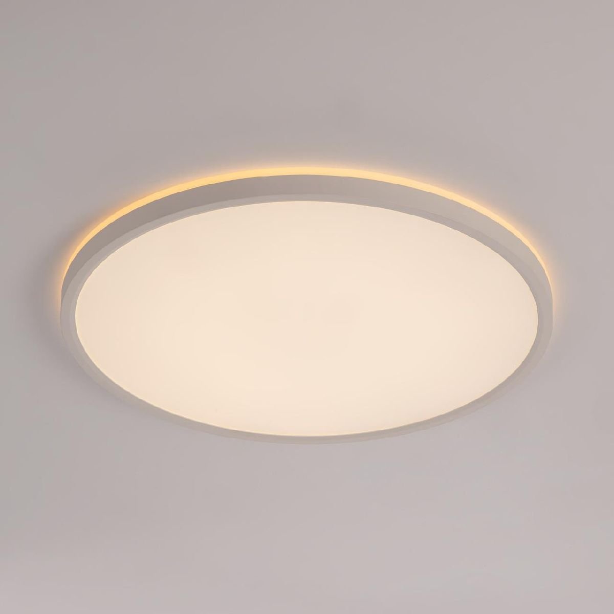Потолочный светильник Citilux Norma CL748400