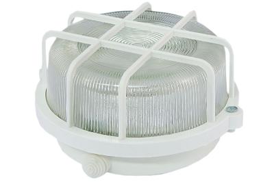 Настенно-потолочный светильник TDM Electric НПП 03-100-005.04 SQ0311-0001