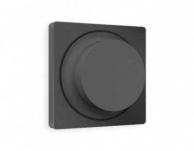 Лицевая панель для светорегулятора универсального Ambrella Volt Alfa AP9055