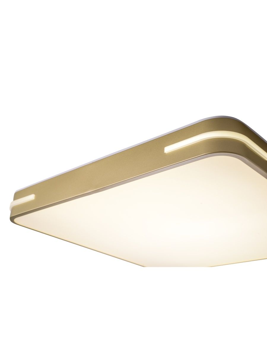 Потолочный светильник Zortes Gabby ZRS.1215.04