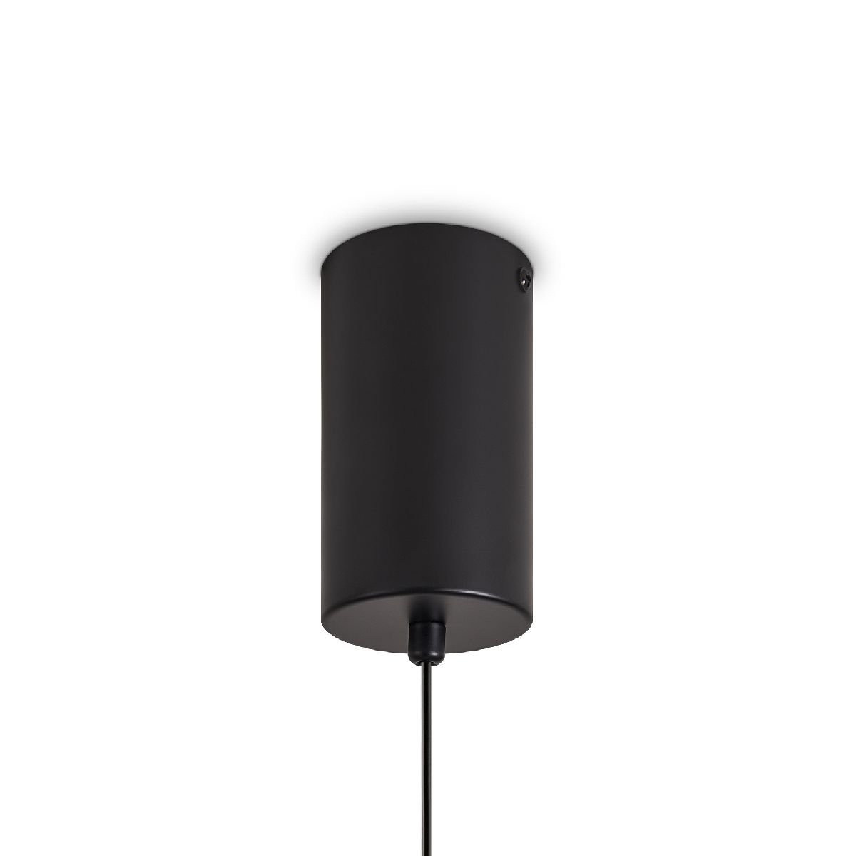 Подвесной светильник Freya Acoustic FR5494PL-L9TR