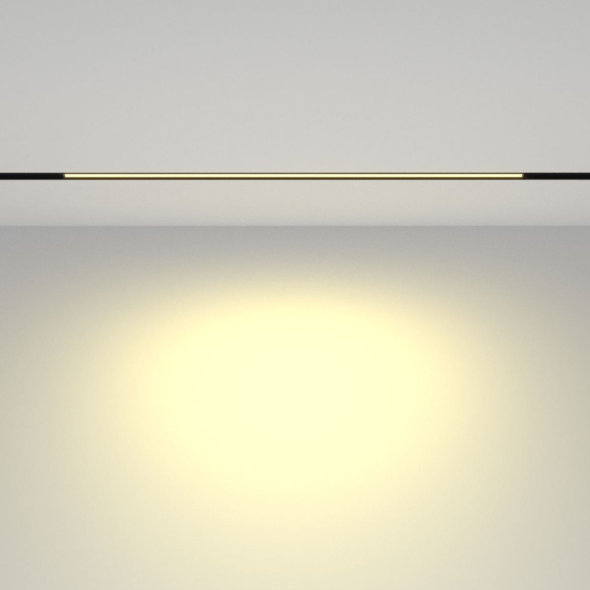 Трековый магнитный светильник Maytoni Basis TR030-2-24W2.7K-B