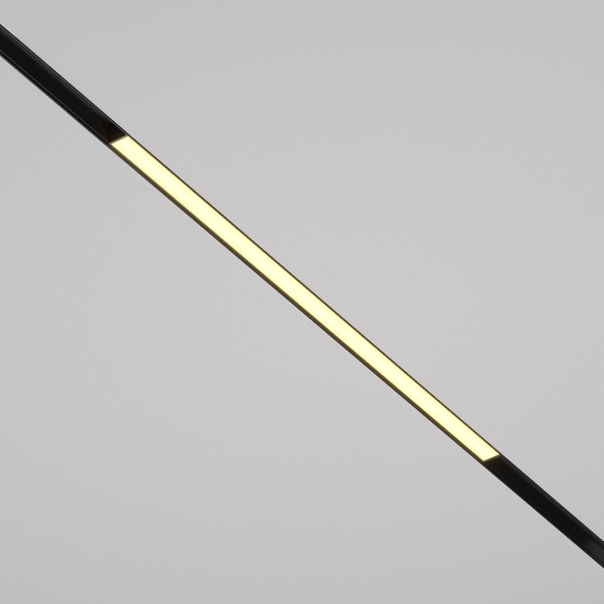 Трековый магнитный светильник Maytoni Basis TR030-2-24W2.7K-B