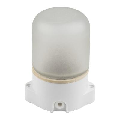 Потолочный влагозащищенный светильник для бань и саун Uniel UWL-K01R 60W/E27 IP65 White UL-00011471