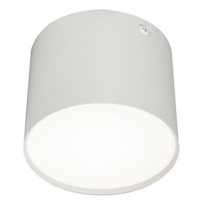 Потолочный светильник 20004 20004SMU/01LED SWH