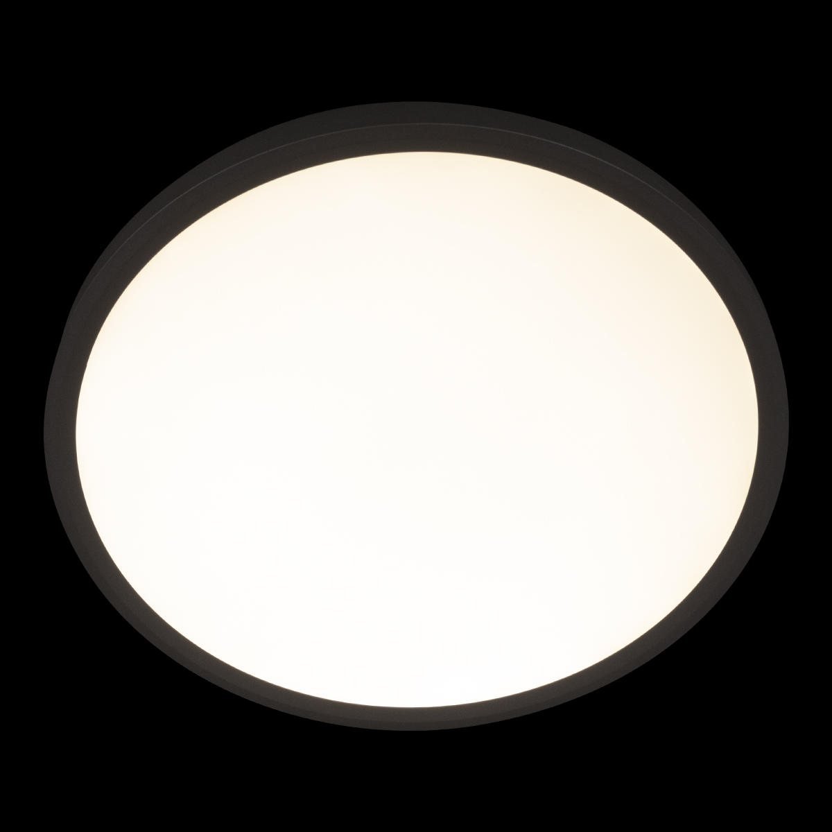 Потолочный светильник Loft IT Extraslim 10227/40 Black