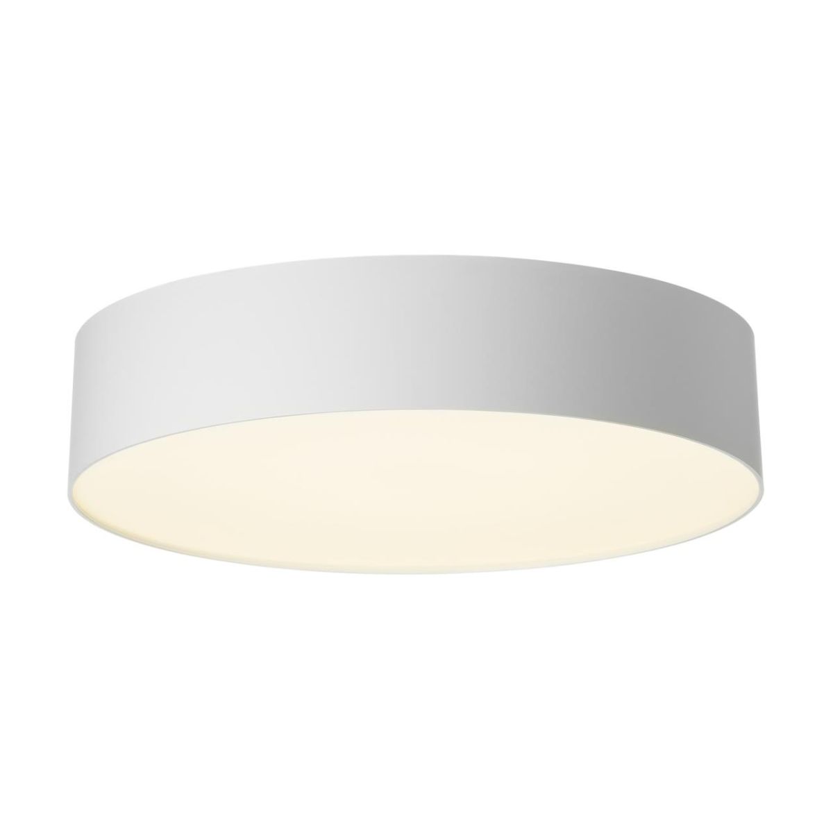 Потолочный светильник Citilux Bart CL755290