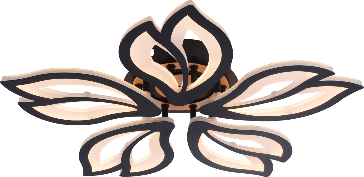 Потолочный светильник Rivoli Lana 6195-733 Б0070143