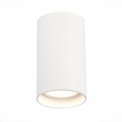 Накладной светильник ST Luce ST157.532.20