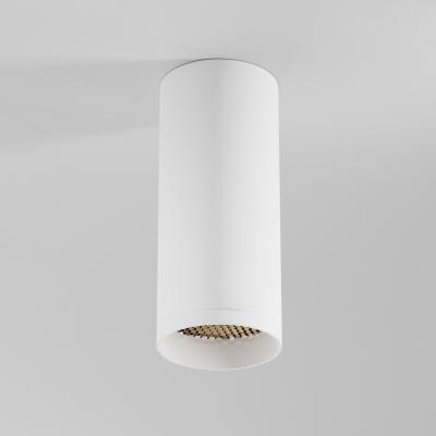 Потолочный светильник Maytoni Focus C010CL-01W-N