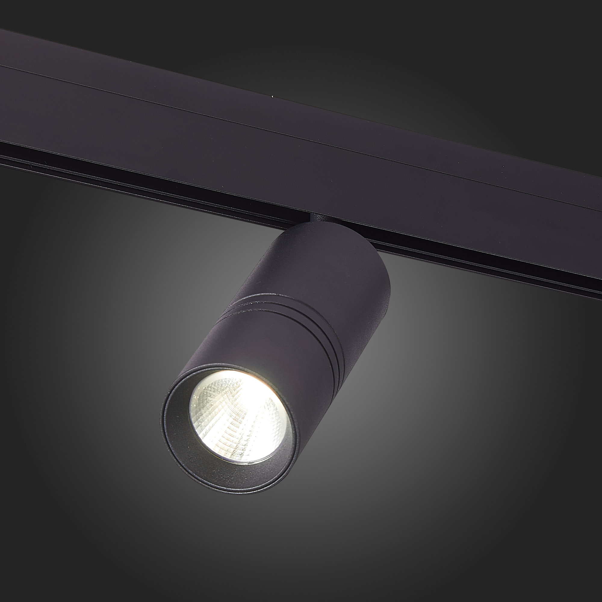 Трековый светильник ST Luce Lemmi ST365.446.18