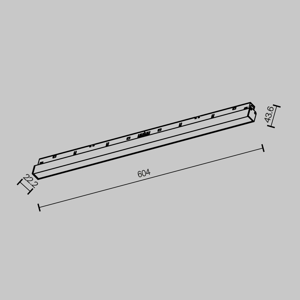 Трековый магнитный светильник Maytoni Basis TR030-2-24W2.7K-B