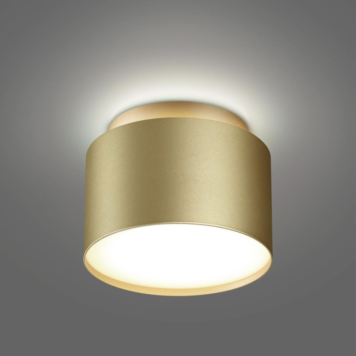 Накладной светильник Novotech Over Lirio 371039