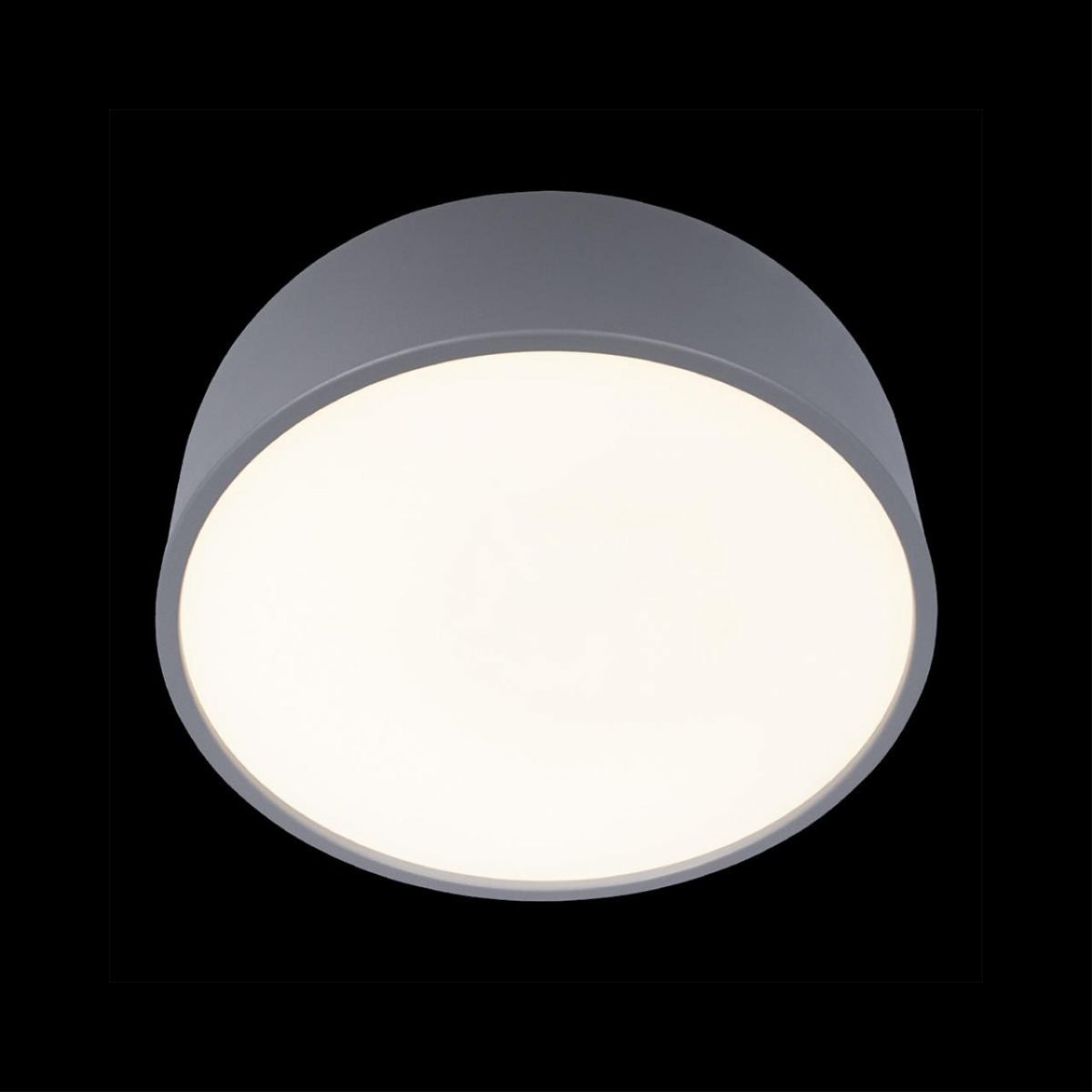Потолочный светильник Loft IT Axel 10201/350 Grey