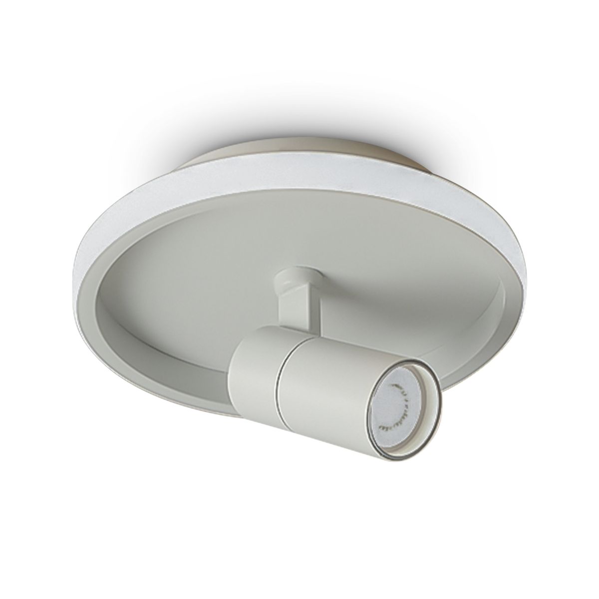 Потолочный светильник Freya Neo FR6040CL-L14W