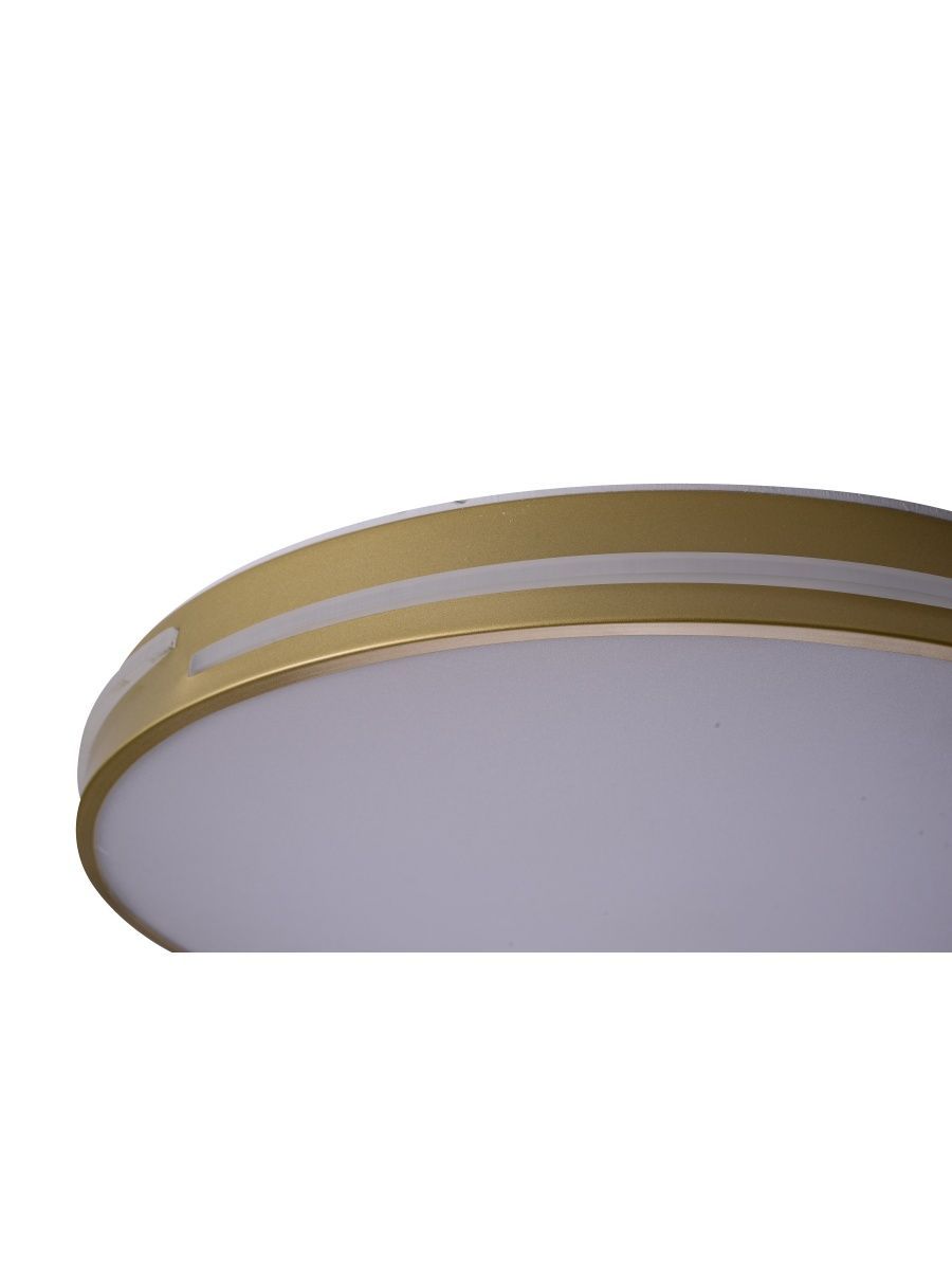 Потолочный светильник Zortes Gabby ZRS.90610.50