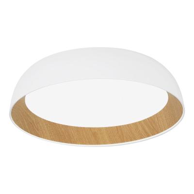 Потолочный светильник Evoluce Muse SLE1812-502-01 Потолочный светильник Evoluce Muse SLE1812-502-01