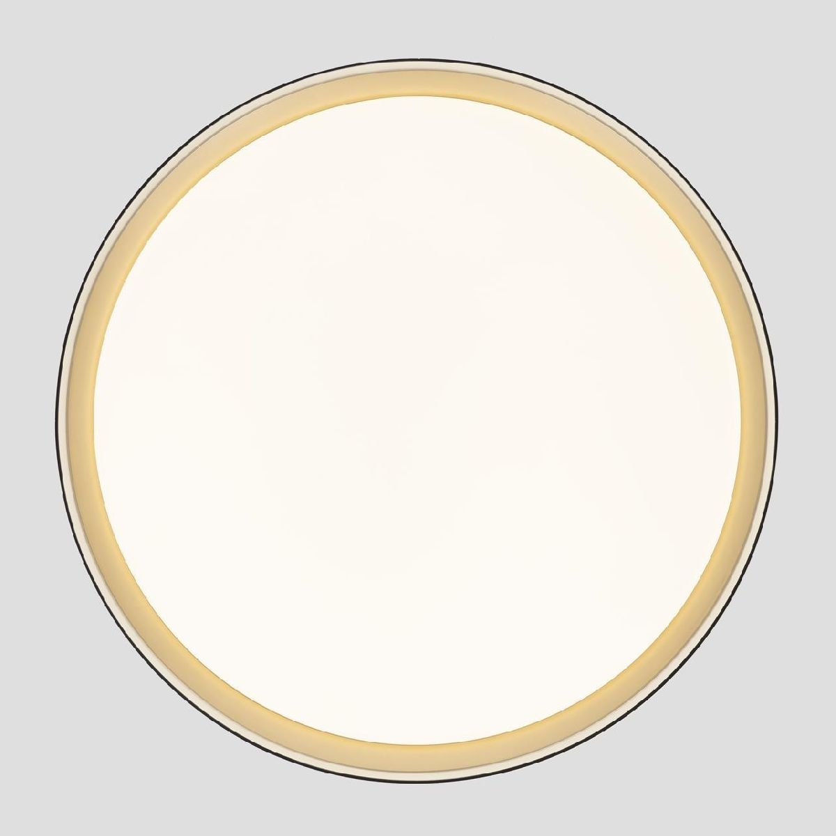 Потолочный светильник Citilux Boss CL751451G