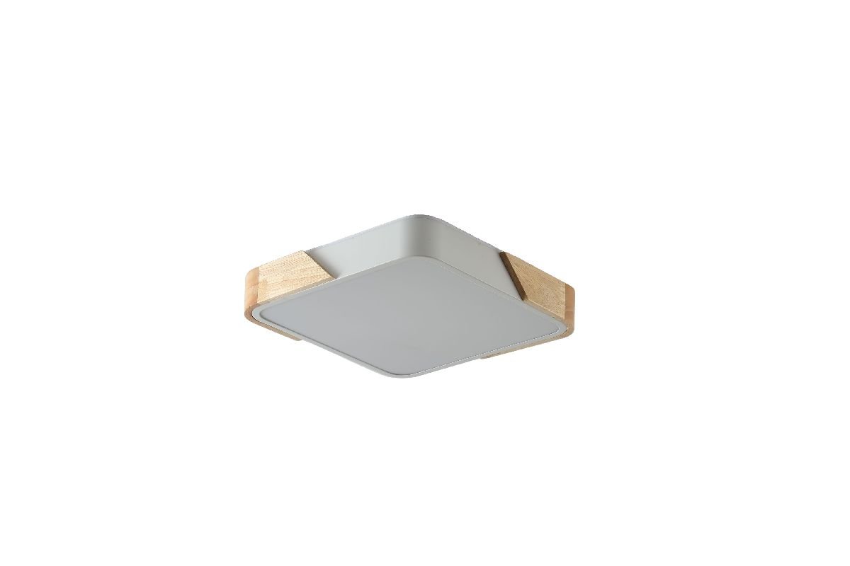 Потолочный светильник Zortes Alberro ZRS.01285.60