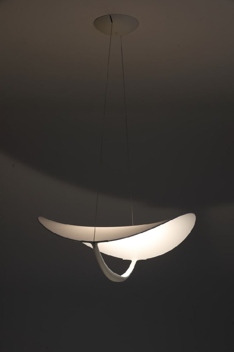 Подвесной светильник Zortes Quincy ZRS.1585.14