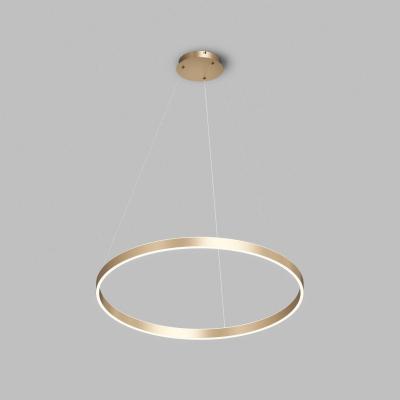 Подвесной светильник Denkirs Raydia DK6272-SG