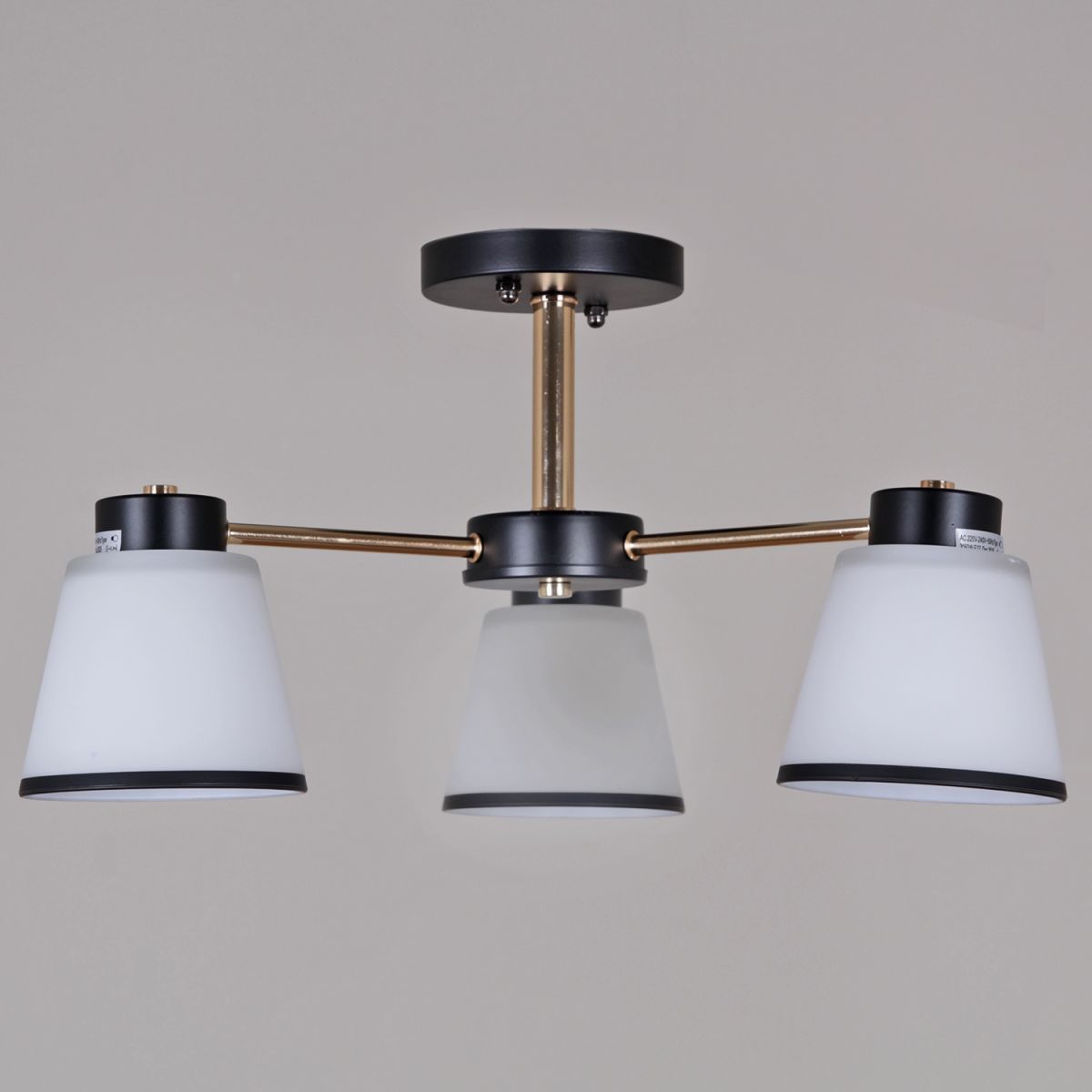 Потолочный светильник Reluce 30560-0.3-03 BK+FG