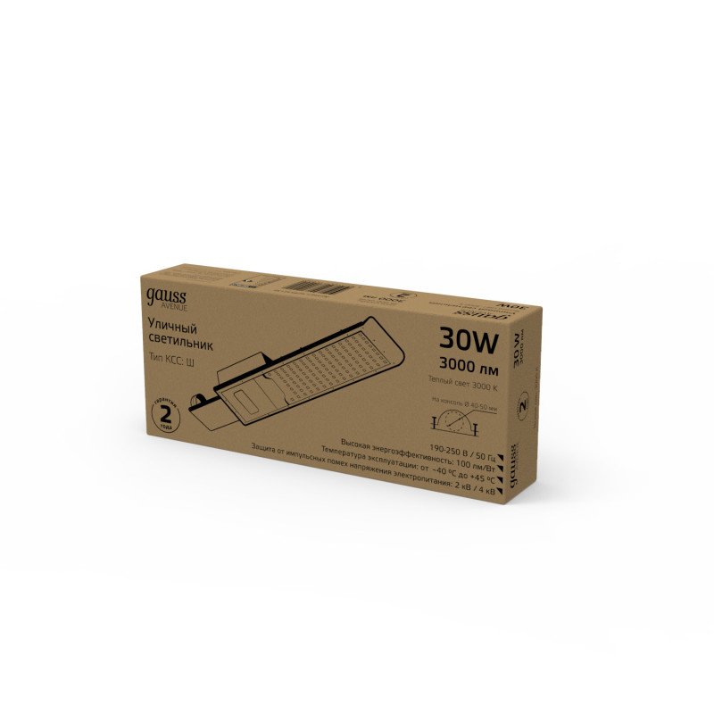 Уличный консольный светильник Gauss Avenue 629534130