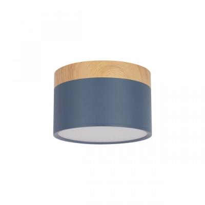 Накладной светильник Loft IT Grape 10162 Blue