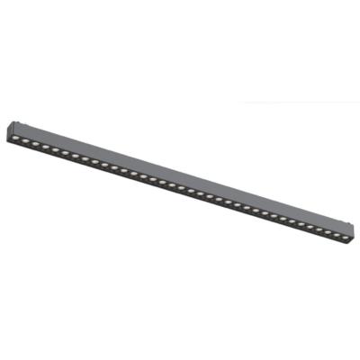 Трековый магнитный светильник Aployt Magnetic track 48 APL.0100.01.30