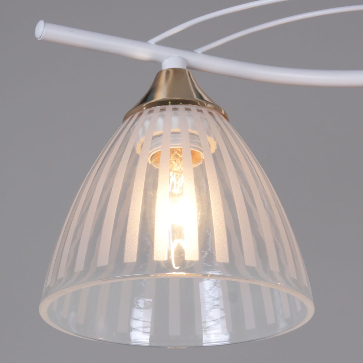 Потолочный светильник Reluce 73460-0.3-02 WH+FG