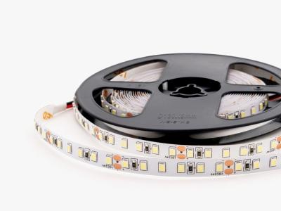 Светодиодная лента LEDS POWER 2835 120/м (9,6Вт/м) 24В холодная, серия LIGHT 004167