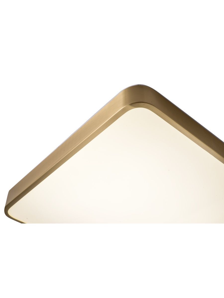 Потолочный светильник Zortes Monna ZRS.1209.03