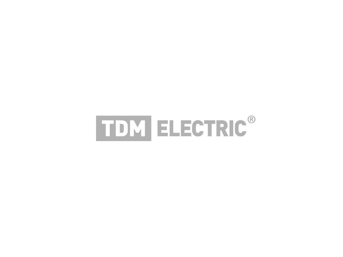 Светодиодная гирлянда TDM Electric СГ100MЗ10 250V разноцветная 8 режимов SQ0361-0041