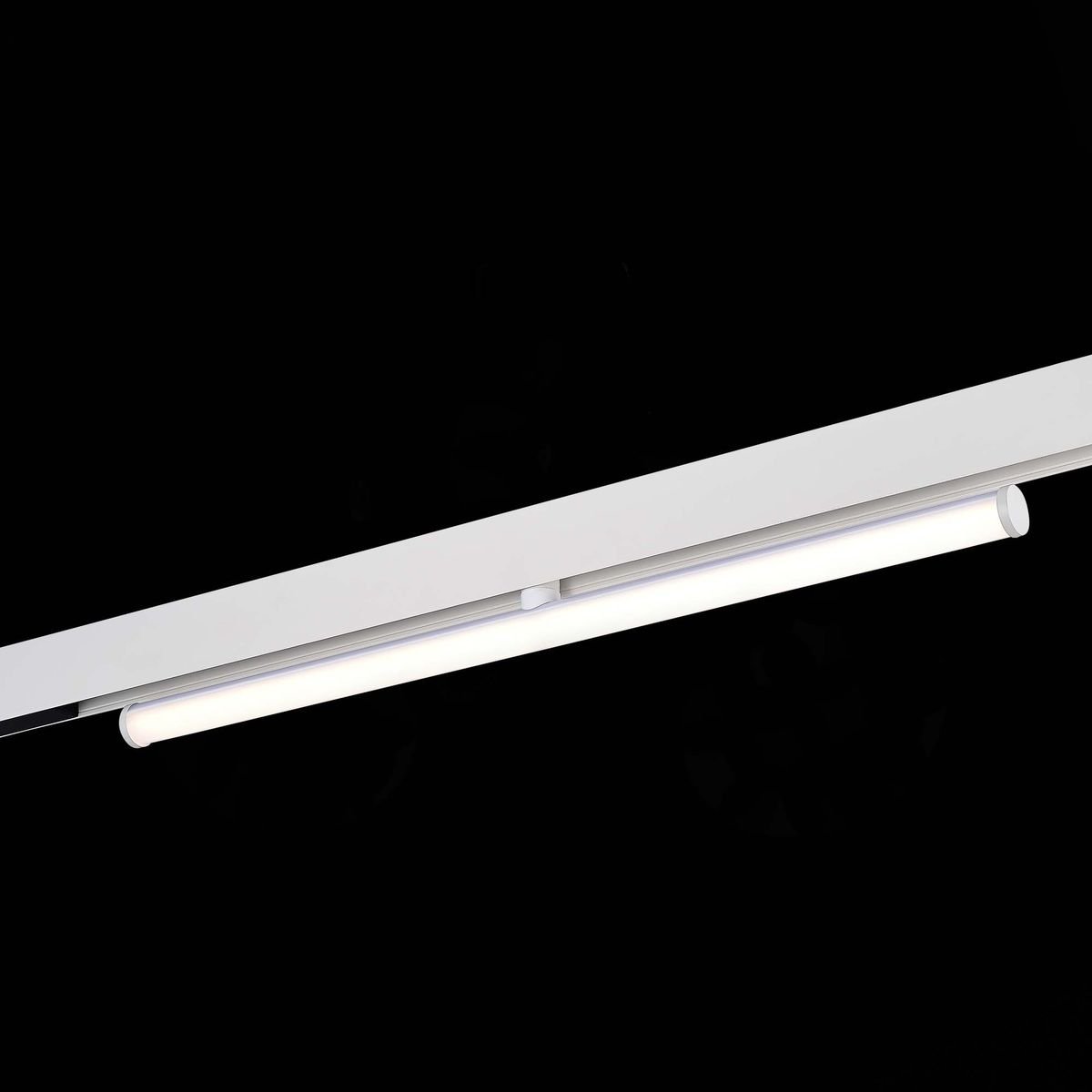 Трековый светодиодный светильник ST Luce Skyline 48 ST803.546.10