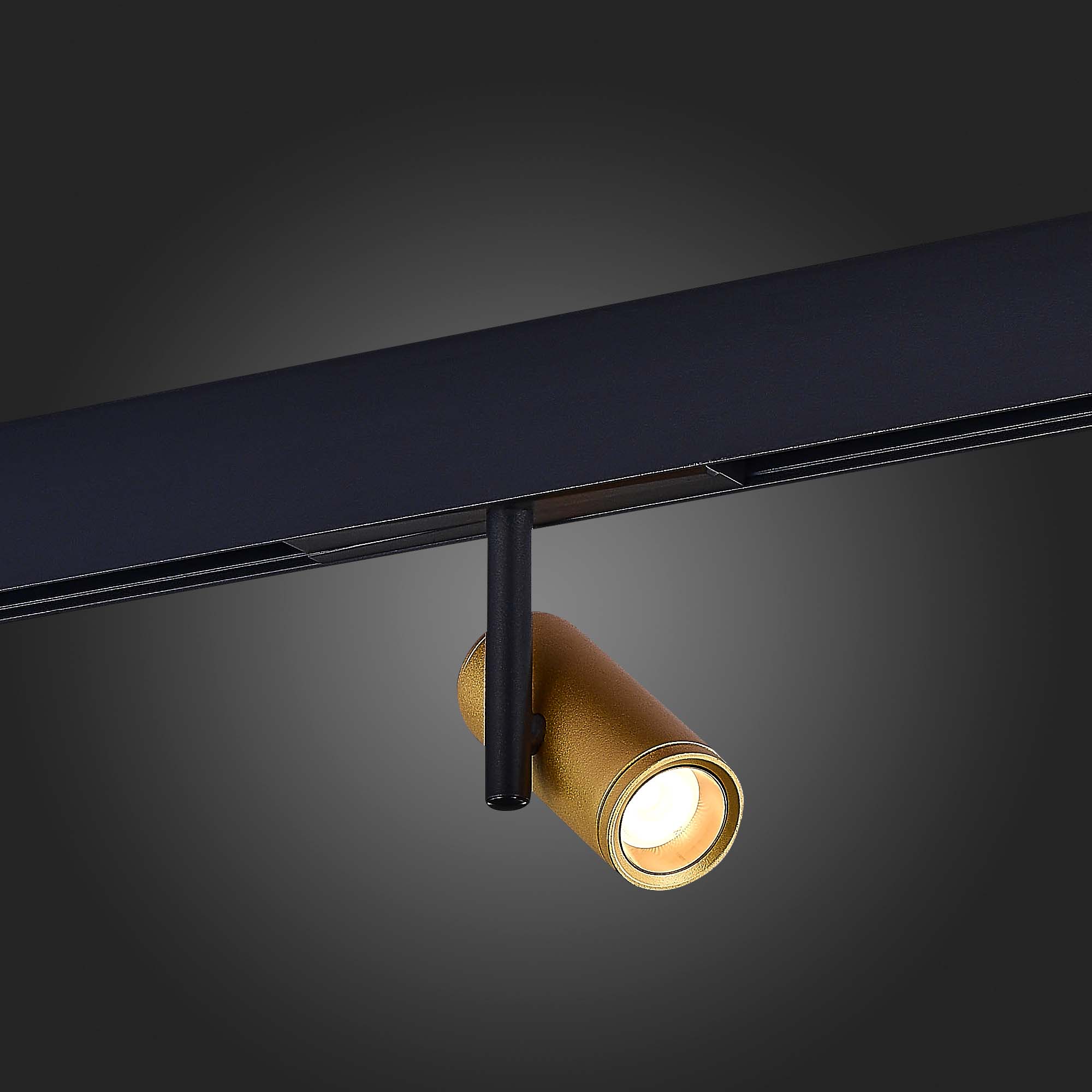 Трековый светильник ST Luce Skyline 48 ST808.236.08