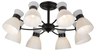 Люстра на штанге Rivoli Aemilia 9185-308 Б0069950