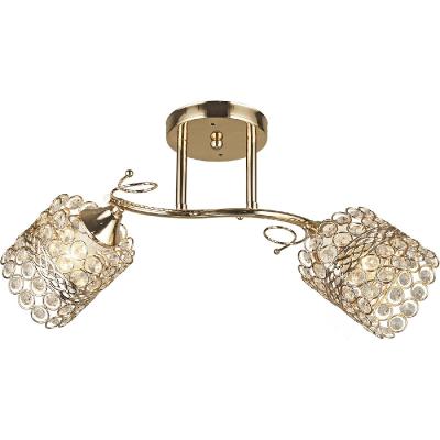 Потолочный светильник Reluce 04481-0.3-02 FGD