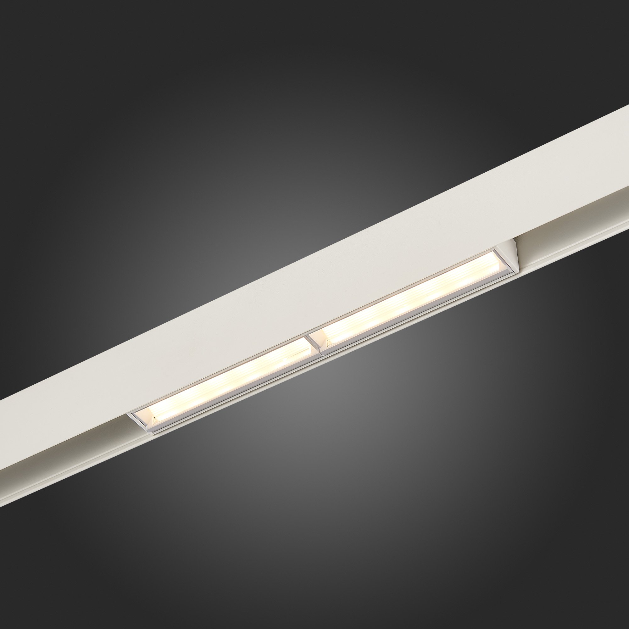 Трековый светильник ST Luce Skyline 48 ST804.536.12