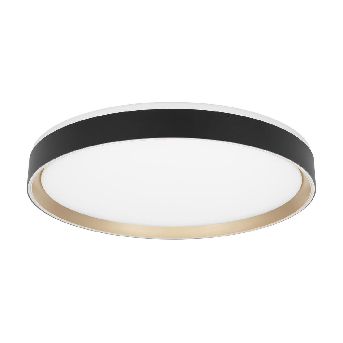 Потолочный светильник Citilux Boss CL751451G